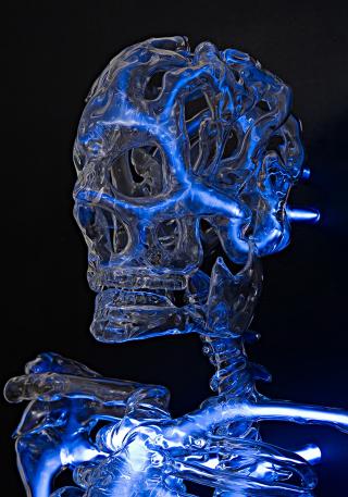 Illustration for article titled This life-size glass skeleton is illuminated by krypton